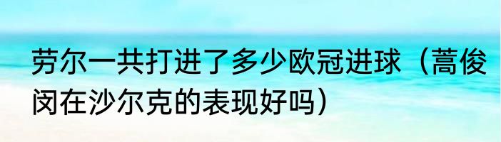 劳尔一共打进了多少欧冠进球（蒿俊闵在沙尔克的表现好吗）