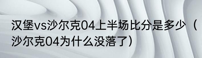 汉堡vs沙尔克04上半场比分是多少（沙尔克04为什么没落了）
