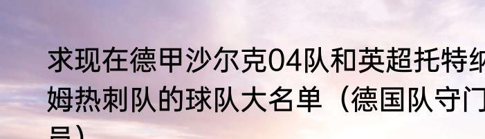 求现在德甲沙尔克04队和英超托特纳姆热刺队的球队大名单（德国队守门员）