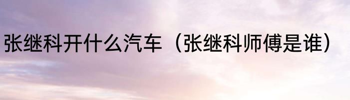 张继科开什么汽车（张继科师傅是谁）