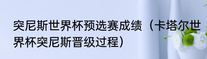 突尼斯世界杯预选赛成绩（卡塔尔世界杯突尼斯晋级过程）