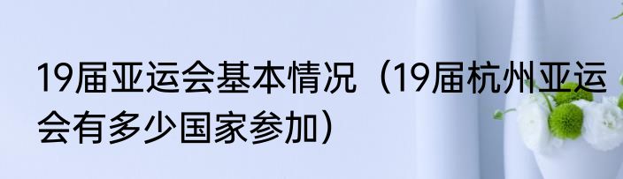 19届亚运会基本情况（19届杭州亚运会有多少国家参加）