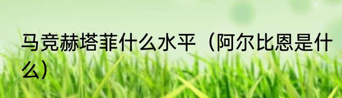 马竞赫塔菲什么水平（阿尔比恩是什么）