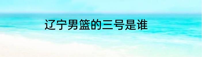 辽宁男篮的三号是谁