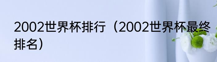 2002世界杯排行（2002世界杯最终排名）