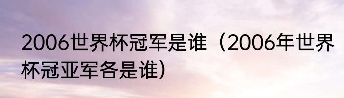 2006世界杯冠军是谁（2006年世界杯冠亚军各是谁）