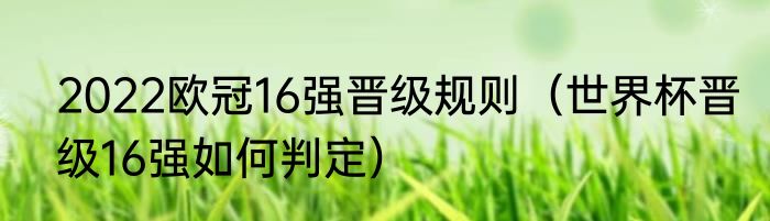 2022欧冠16强晋级规则（世界杯晋级16强如何判定）