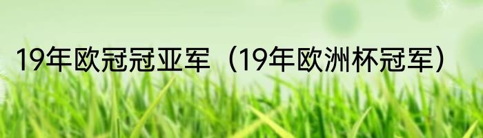 19年欧冠冠亚军（19年欧洲杯冠军）
