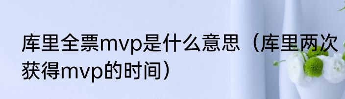 库里全票mvp是什么意思（库里两次获得mvp的时间）
