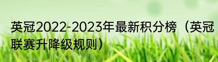 英冠2022-2023年最新积分榜（英冠联赛升降级规则）