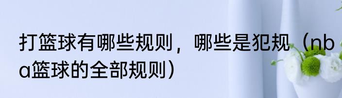 打篮球有哪些规则，哪些是犯规（nba篮球的全部规则）