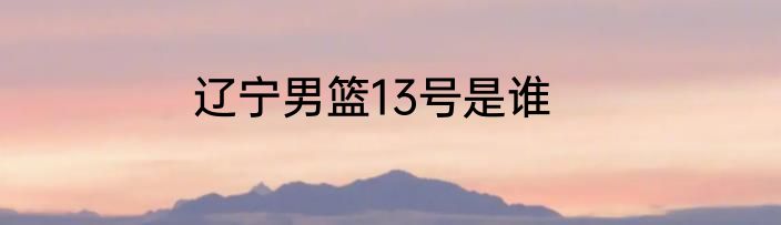辽宁男篮13号是谁