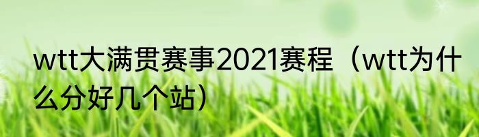 wtt大满贯赛事2021赛程（wtt为什么分好几个站）