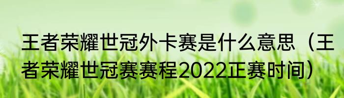 王者荣耀世冠外卡赛是什么意思（王者荣耀世冠赛赛程2022正赛时间）