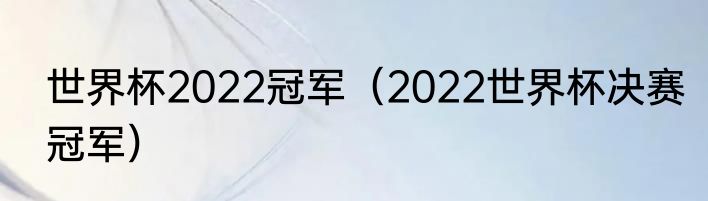 世界杯2022冠军（2022世界杯决赛冠军）