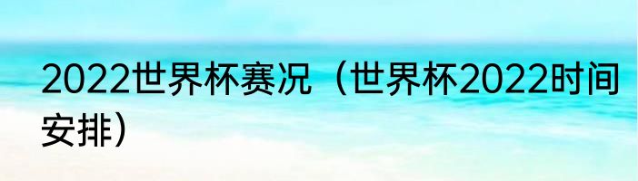 2022世界杯赛况（世界杯2022时间安排）