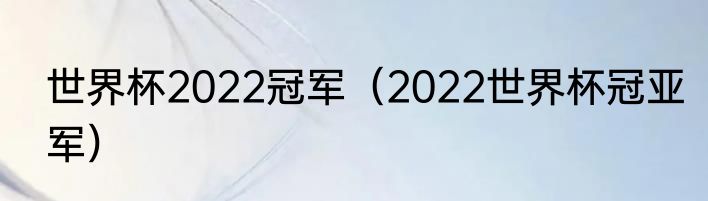 世界杯2022冠军（2022世界杯冠亚军）