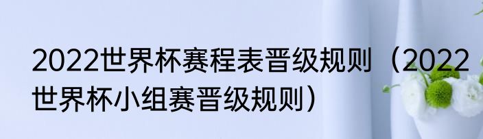 2022世界杯赛程表晋级规则（2022世界杯小组赛晋级规则）