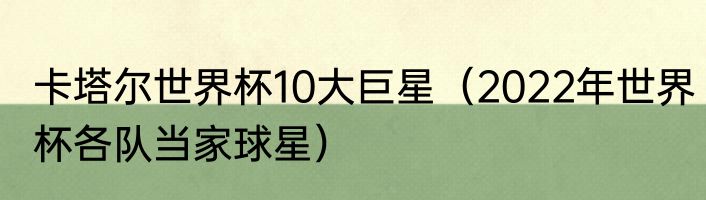 卡塔尔世界杯10大巨星（2022年世界杯各队当家球星）