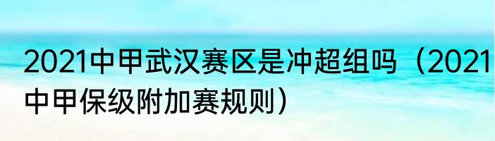 2021中甲武汉赛区是冲超组吗（2021中甲保级附加赛规则）