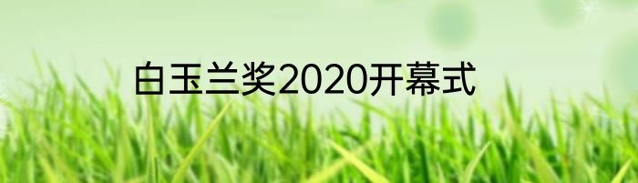 白玉兰奖2020开幕式