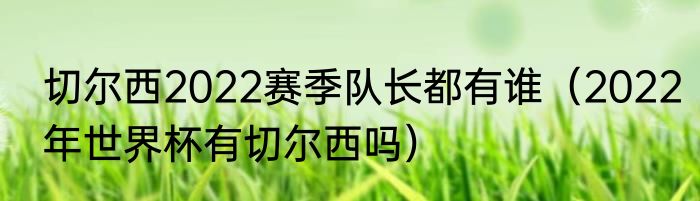切尔西2022赛季队长都有谁（2022年世界杯有切尔西吗）