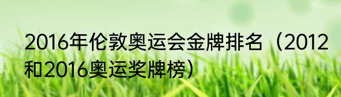 2016年伦敦奥运会金牌排名（2012和2016奥运奖牌榜）