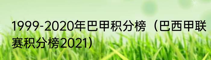 1999-2020年巴甲积分榜（巴西甲联赛积分榜2021）