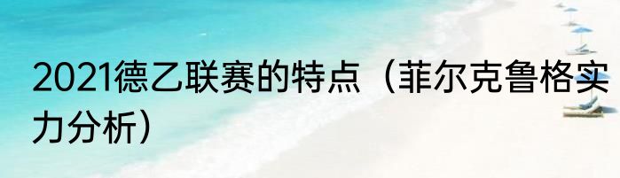2021德乙联赛的特点(菲尔克鲁格实力分析)