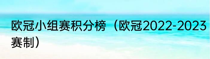 欧冠小组赛积分榜（欧冠2022-2023赛制）