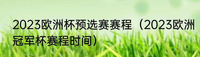 2023欧洲杯预选赛赛程（2023欧洲冠军杯赛程时间）