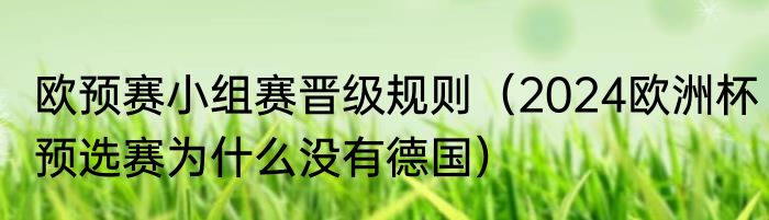 欧预赛小组赛晋级规则（2024欧洲杯预选赛为什么没有德国）