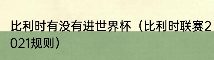 比利时有没有进世界杯（比利时联赛2021规则）