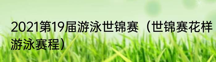 2021第19届游泳世锦赛（世锦赛花样游泳赛程）