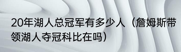 20年湖人总冠军有多少人（詹姆斯带领湖人夺冠科比在吗）
