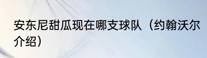 安东尼甜瓜现在哪支球队（约翰沃尔介绍）