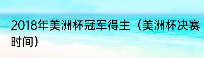 2018年美洲杯冠军得主（美洲杯决赛时间）
