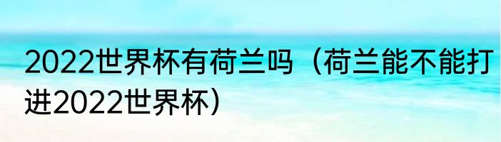 2022世界杯有荷兰吗（荷兰能不能打进2022世界杯）