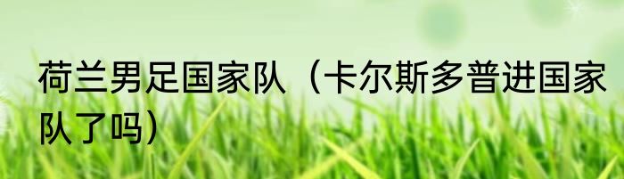 荷兰男足国家队（卡尔斯多普进国家队了吗）