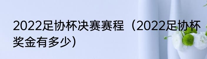2022足协杯决赛赛程（2022足协杯奖金有多少）