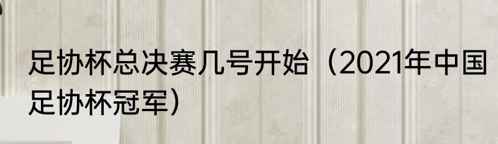 足协杯总决赛几号开始（2021年中国足协杯冠军）