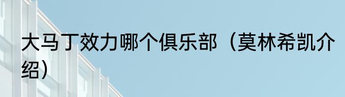 大马丁效力哪个俱乐部（莫林希凯介绍）
