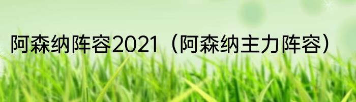 阿森纳阵容2021（阿森纳主力阵容）