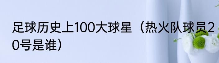 足球历史上100大球星（热火队球员20号是谁）