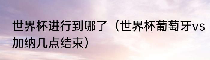 世界杯进行到哪了（世界杯葡萄牙vs加纳几点结束）