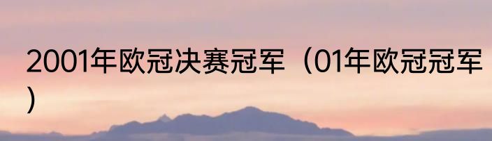 2001年欧冠决赛冠军（01年欧冠冠军）