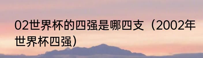 02世界杯的四强是哪四支（2002年世界杯四强）