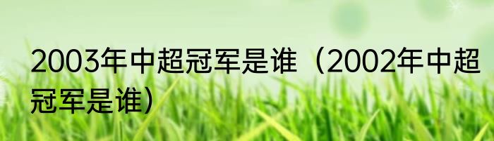2003年中超冠军是谁（2002年中超冠军是谁）