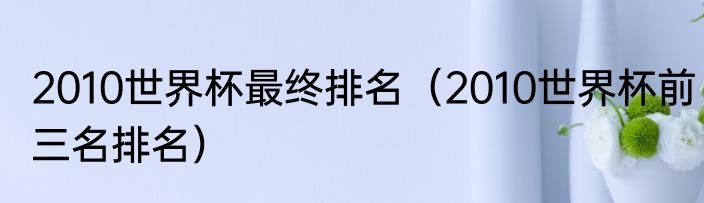 2010世界杯最终排名（2010世界杯前三名排名）