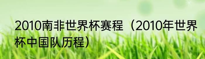 2010南非世界杯赛程（2010年世界杯中国队历程）